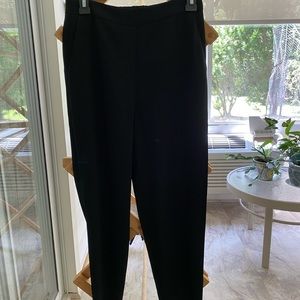 Aritzia babaton dexter pant